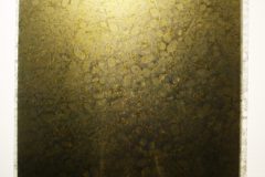 03-oogst_01-scaled