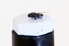 00331b-broos_02-b-1-scaled