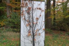 0039-eik_02-scaled